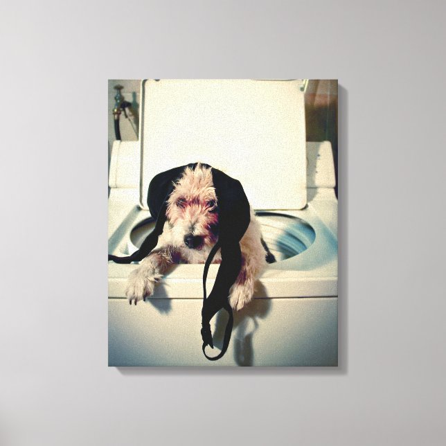 Dog helping out with the wash canvas print (Front)