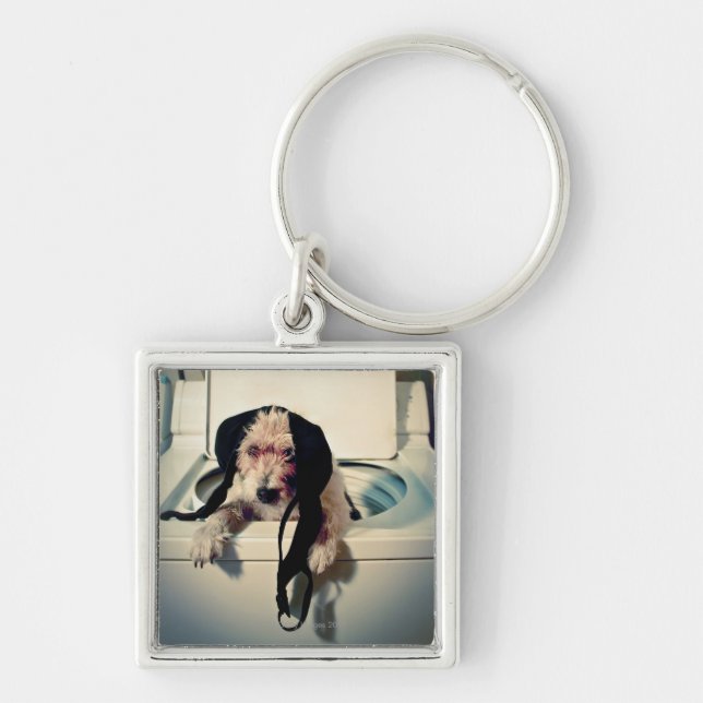Dog helping out with the wash key ring (Front)