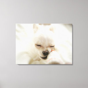 Dog holding toy in mouth canvas print