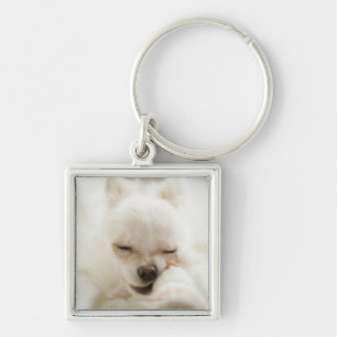 Dog holding toy in mouth key ring
