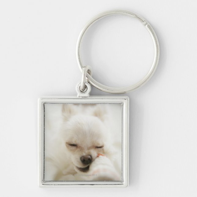 Dog holding toy in mouth key ring (Front)