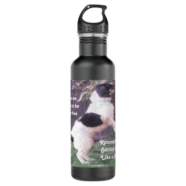 Dog Horse Poem By Ladee Basset 710 Ml Water Bottle (Front)