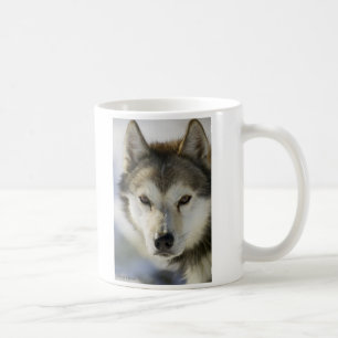 DOG husky Coffee Mug