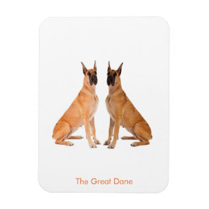 Dog Image for Flexible Photo Magnet