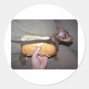 Dog in a Bun Classic Round Sticker