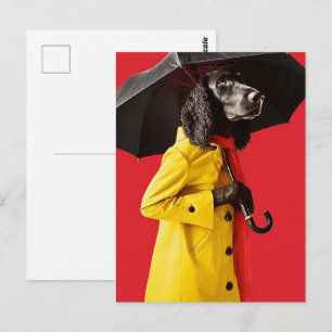 Dog in a Yellow Raincoat Postcard