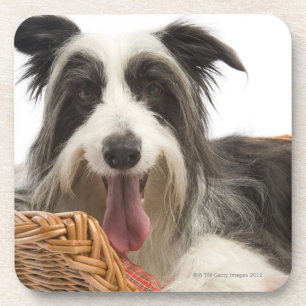 Dog in basket 2 coaster