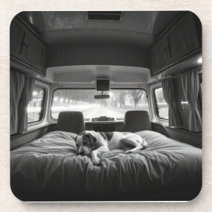 Dog in Bed of RV Coaster