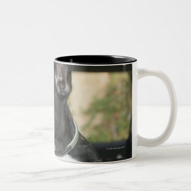 Dog in car Two-Tone coffee mug (Right)