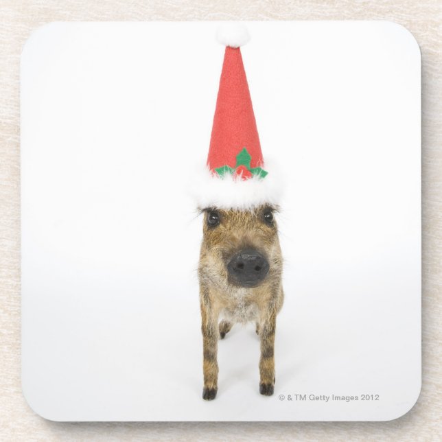 Dog in Christmas hat Coaster (Front)
