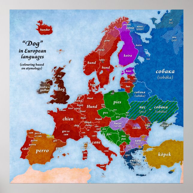 Dog in European Languages Map Poster (Front)