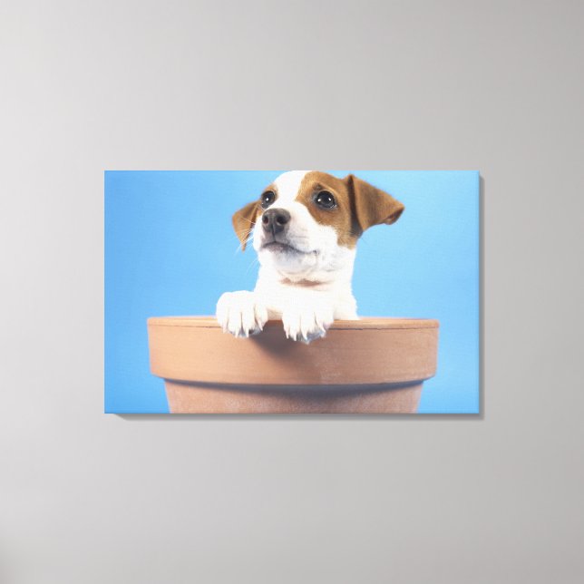 Dog in flowerpot canvas print (Front)