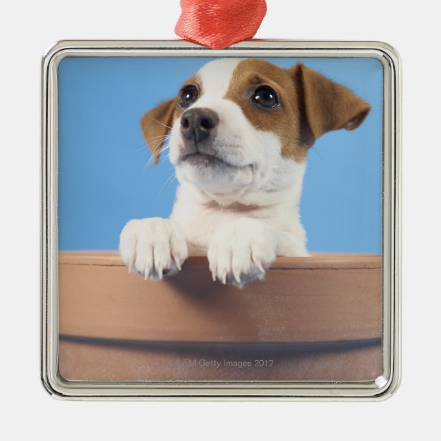 Dog in flowerpot metal tree decoration (Front)