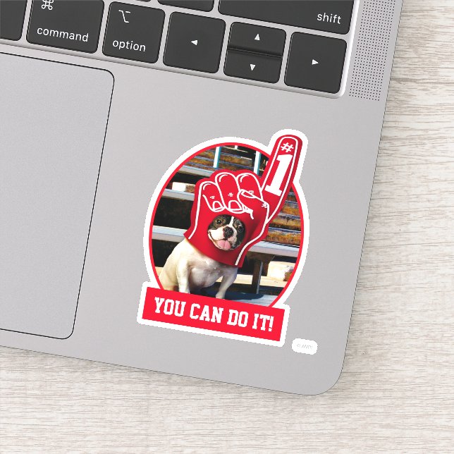 Dog In Foam Hand (Detail)