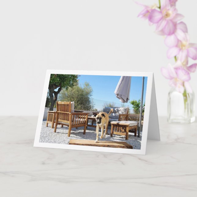 Dog in Garden Card (Orchid)