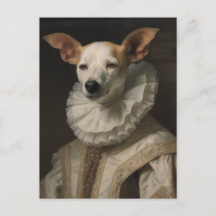 Dog in Historical Clothing Postcard