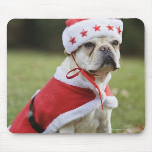 Dog in holiday costume mouse pad