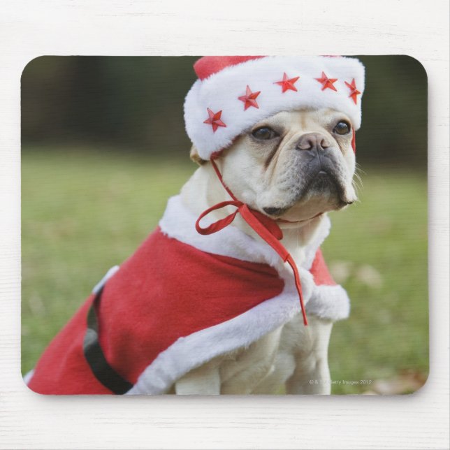 Dog in holiday costume mouse pad (Front)