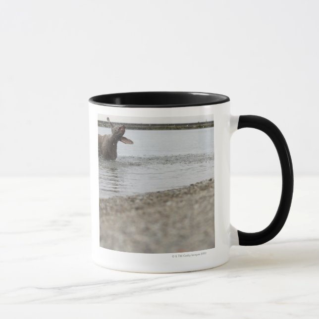 Dog in Lake Shaking Off Water Mug (Right)