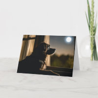 Dog In Moonlit Window For Pet Loss