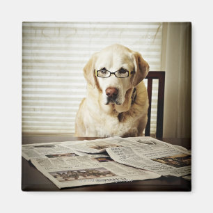 Dog in morning routine magnet