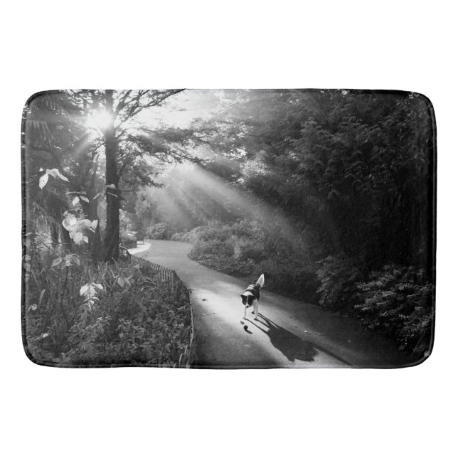 Dog in morning sunlight bath mat (Front)