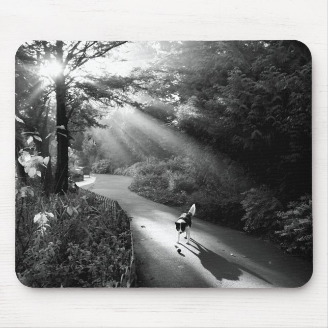 Dog in morning sunlight mouse pad (Front)