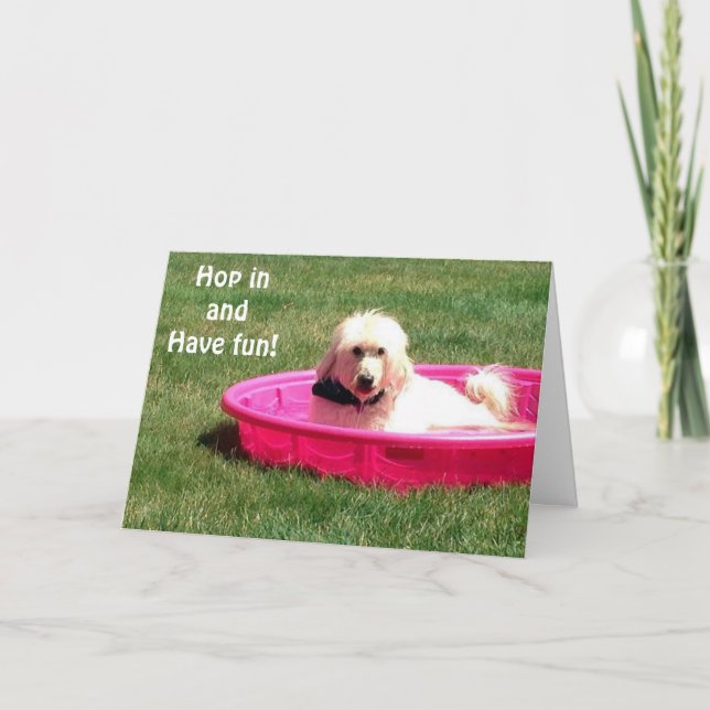 DOG IN POOL SAYS JUMP IN AND ENJOY YOUR BIRTHDAY CARD (Front)
