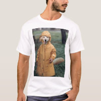 Dog in rain