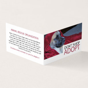 Dog in Red Blanket, Pet Adoption Detailed Business Card