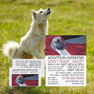 Dog in Red Blanket, Pet Adoption Event Advertising Business Card