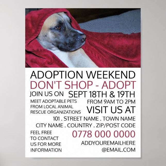 Dog in Red Blanket, Pet Adoption Event Advertising Poster (Front)