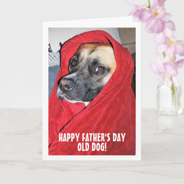 Dog in Red Blanket Portrait Card (Orchid)