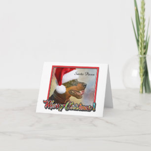 Dog in Santa Hat - Santa Paws Christmas Greeting Card