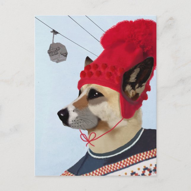 Dog in Ski Sweater Postcard (Front)