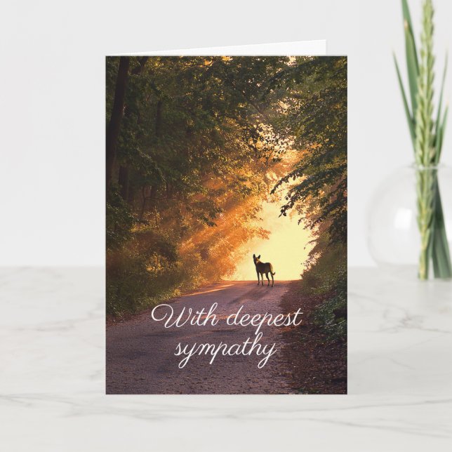 Dog in sunset sympathy card (Front)