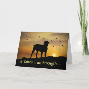 Dog in Sunset Sympathy Put Dog to Sleep Card