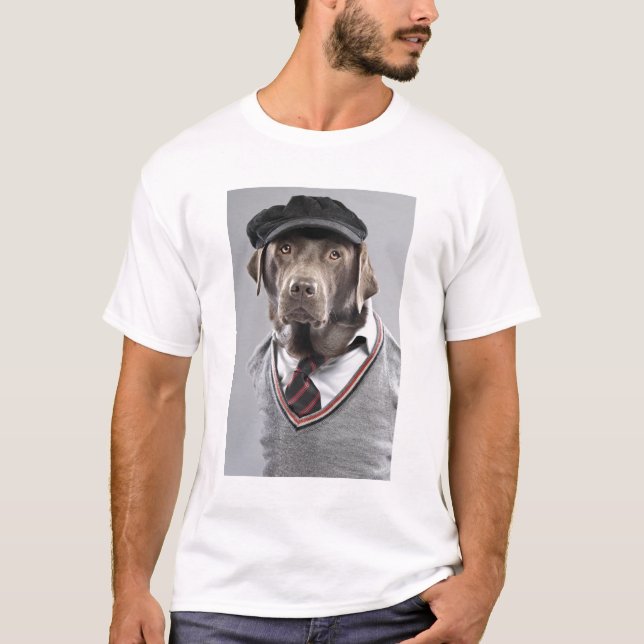 Dog in sweater and cap (Front)