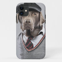 Dog in sweater and cap