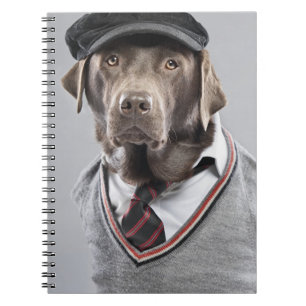 Dog in sweater and cap spiral notebook