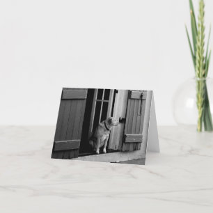 Dog in the Doorway Note Card