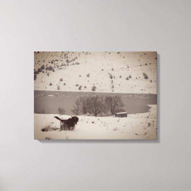 Dog in the Snow Canvas Print (Front)