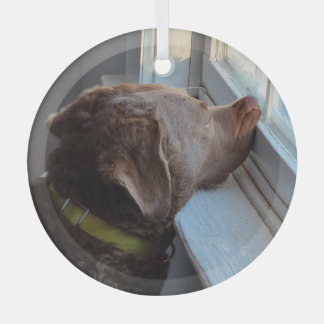 Dog in the Window Glass Tree Decoration