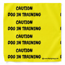 Dog in Training Yellow Bandanna