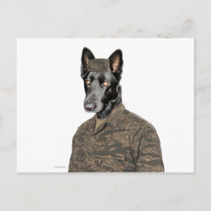 Dog In Uniform Postcard