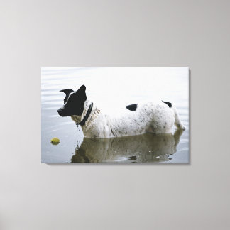 Dog in Water with Tennis Ball Canvas Print