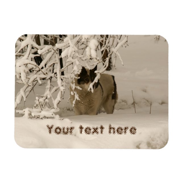 Dog in winter magnet (Horizontal)