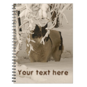 Dog in winter notebook