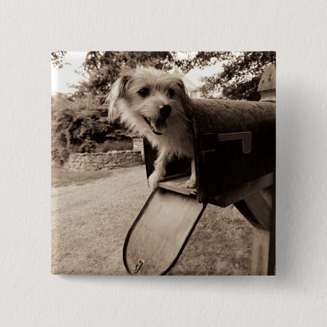 Dog Inside a Mailbox 15 Cm Square Badge (Front)
