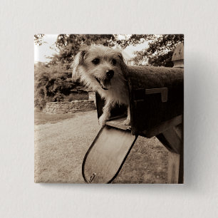 Dog Inside a Mailbox 15 Cm Square Badge